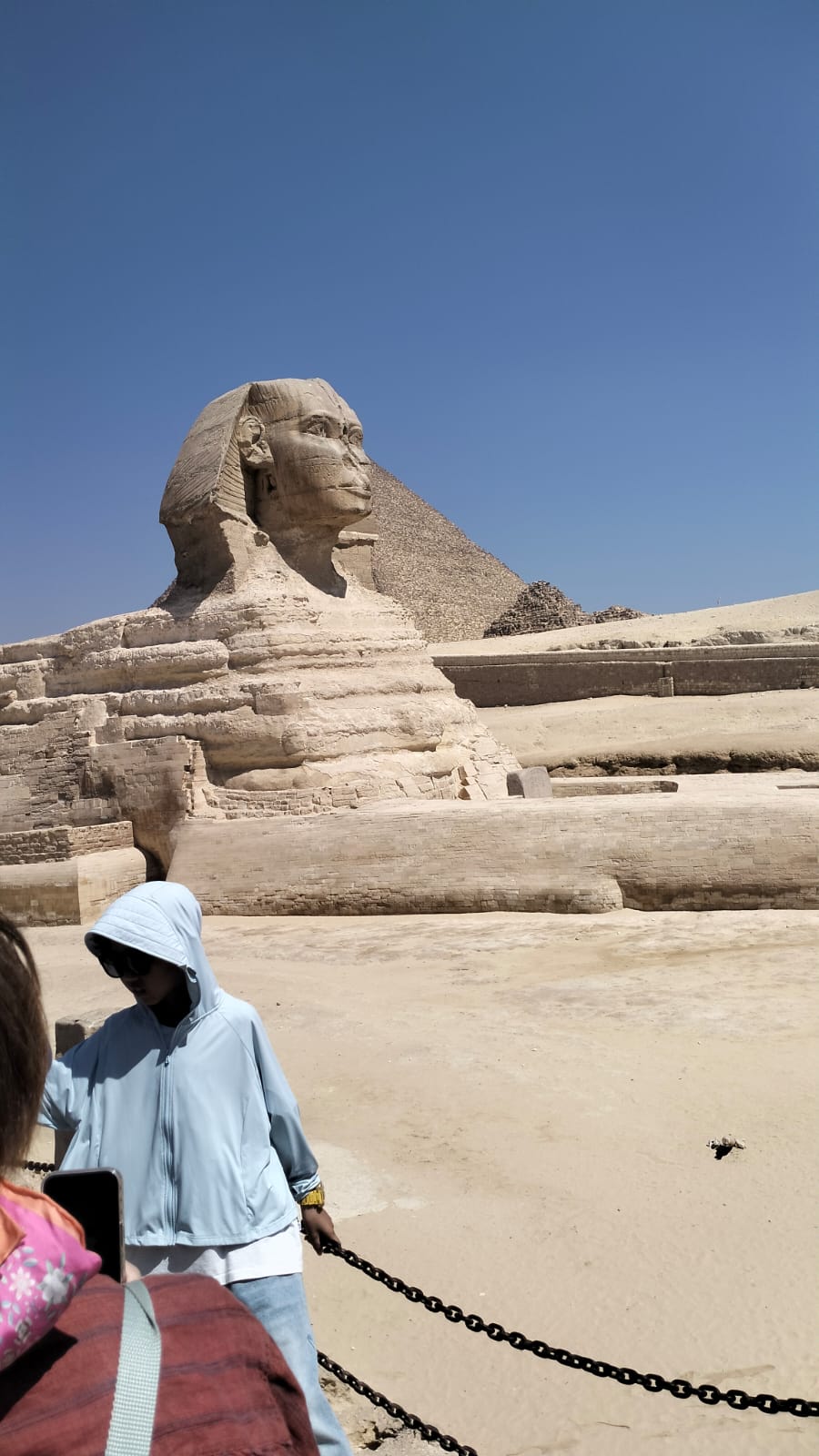 A Gastronomic Odyssey: Modern Egyptian Fine Dining & Culinary Secrets